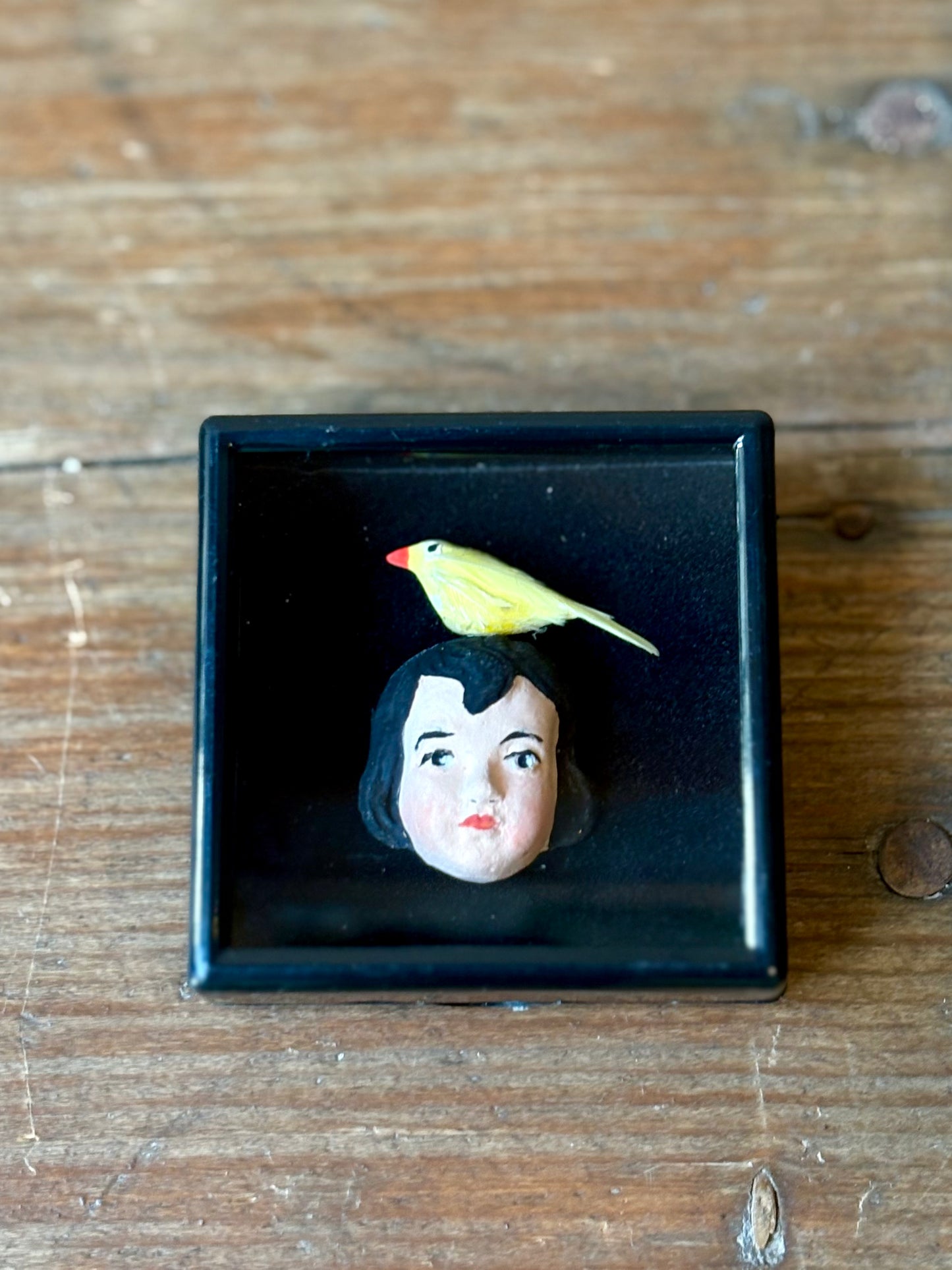 Mythical Magnet Taxidermy Boxes by Maïssa Toulet