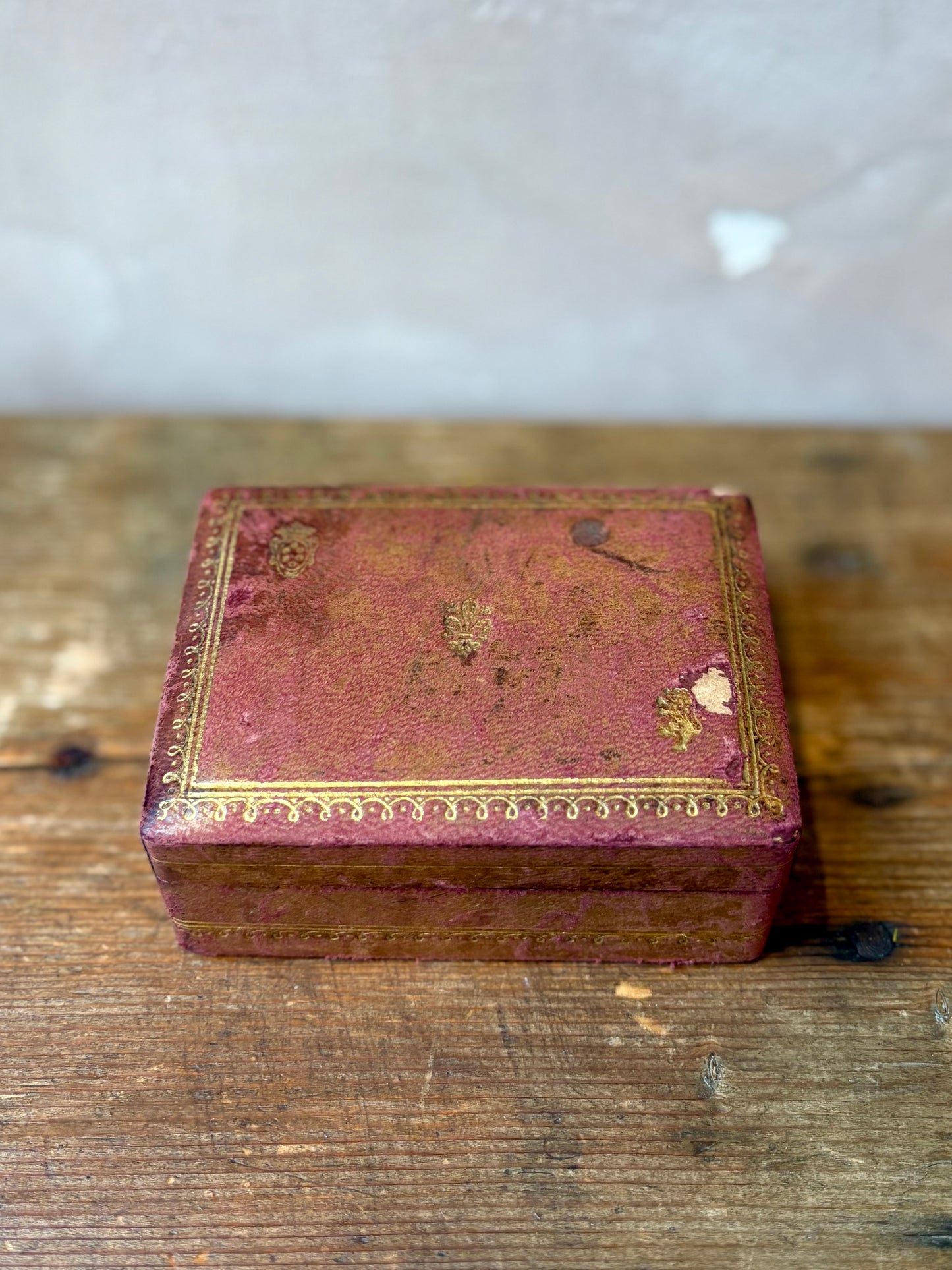 Seahorse Curiosity Box