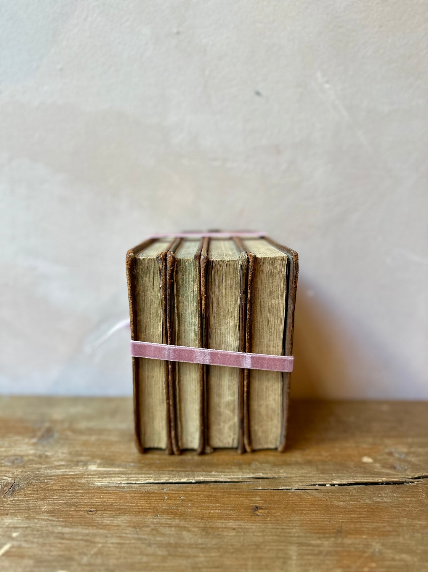 Rare Antique French Travel Guide by a Female Author (1824)