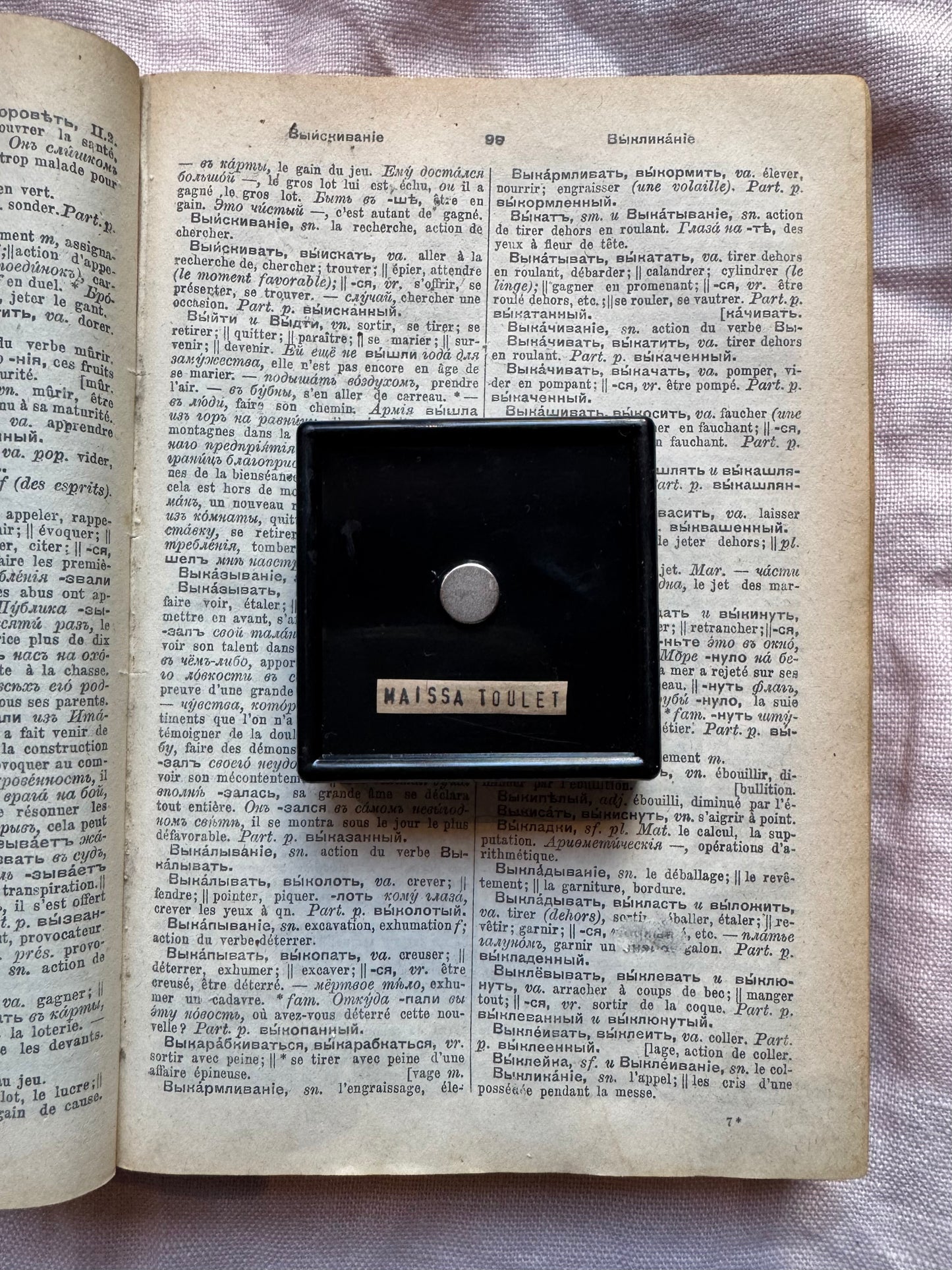 Mythical Magnet Taxidermy Boxes by Maïssa Toulet