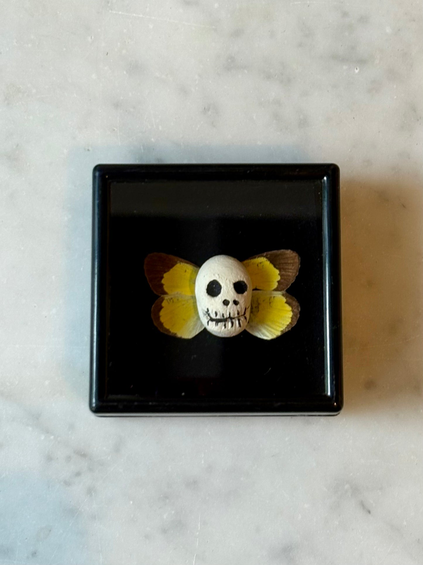 Mythical Magnet Taxidermy Boxes by Maïssa Toulet