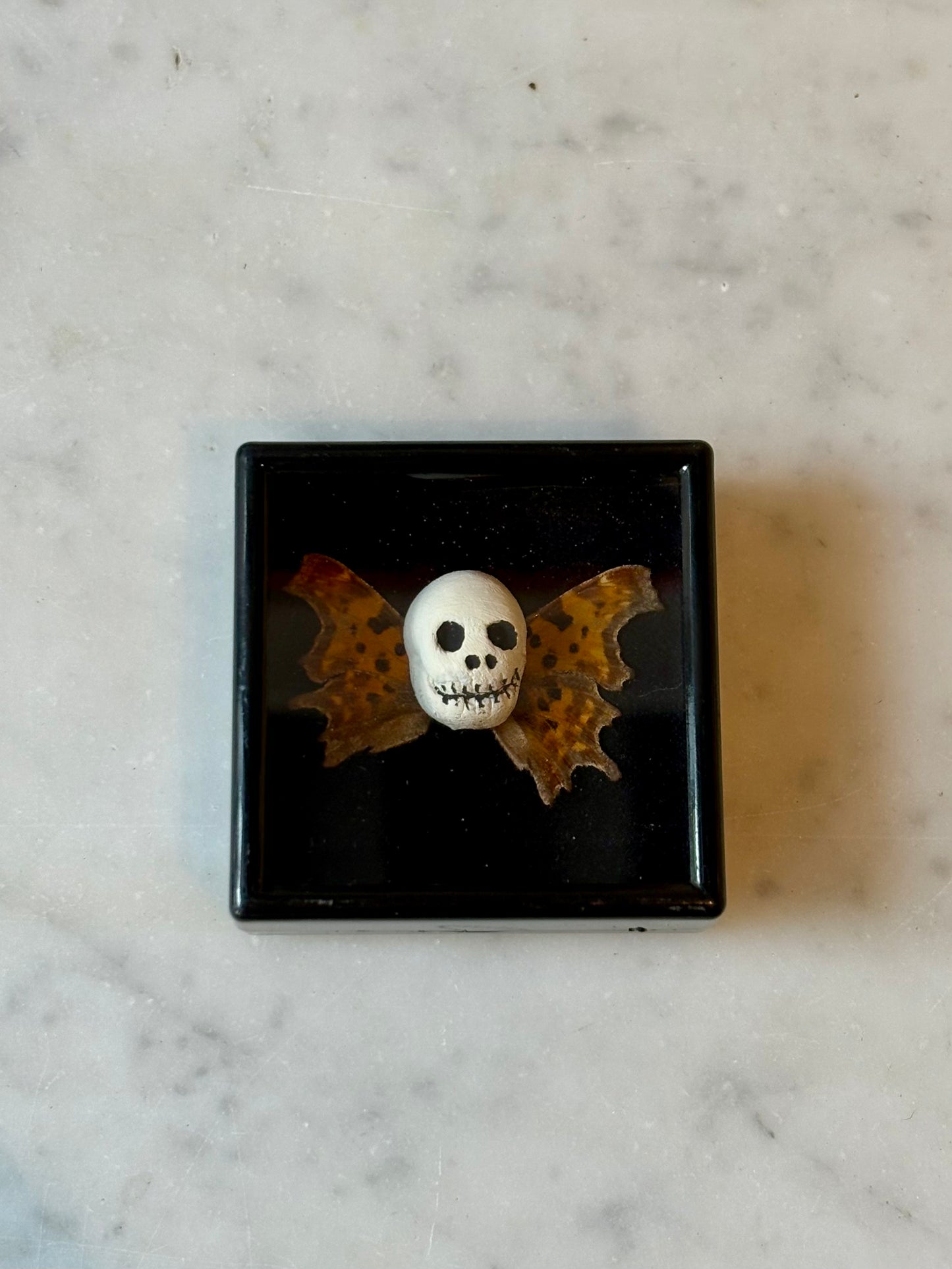 Mythical Magnet Taxidermy Boxes by Maïssa Toulet