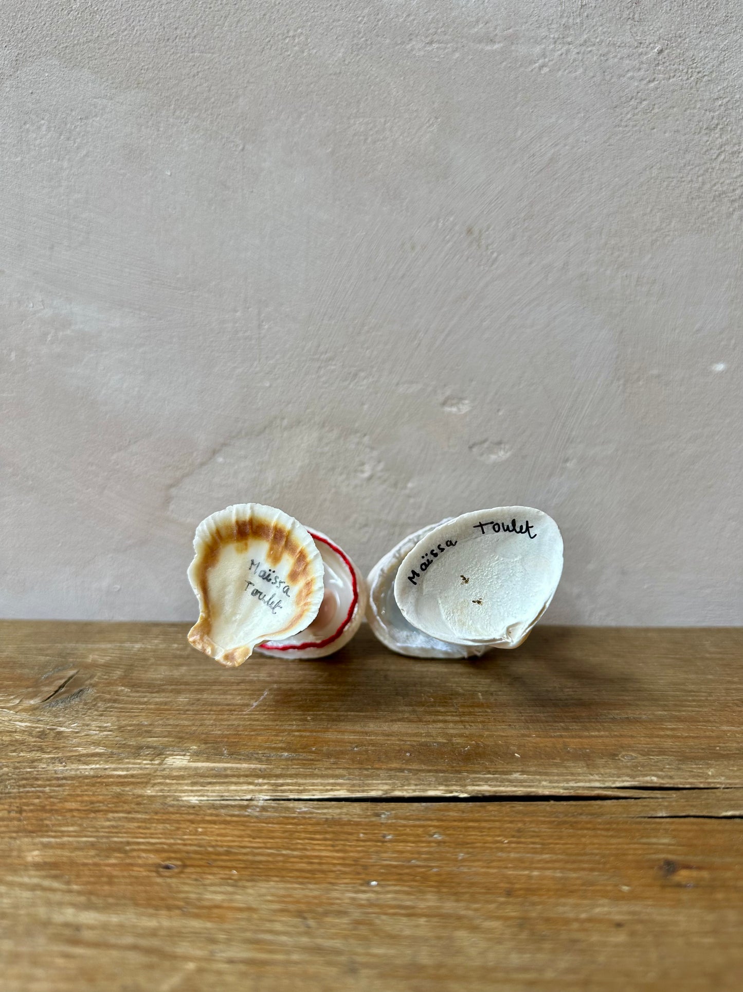 Surreal Shell People by Maïssa Toulet (Set III)