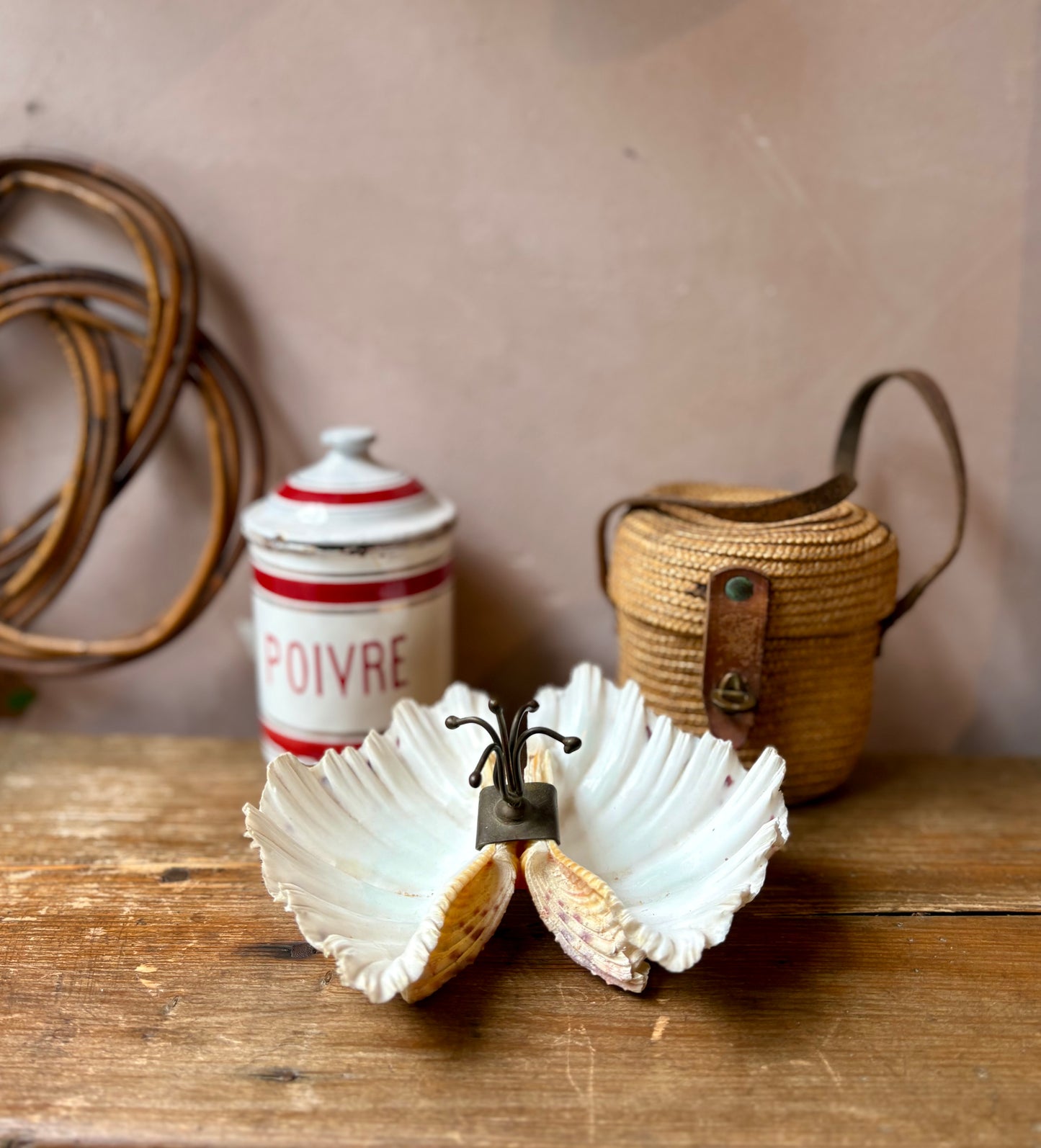 Bénitier Shell Salt & Pepper Server