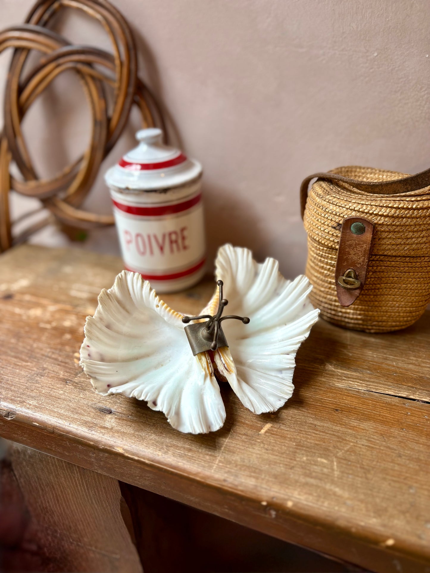 Bénitier Shell Salt & Pepper Server