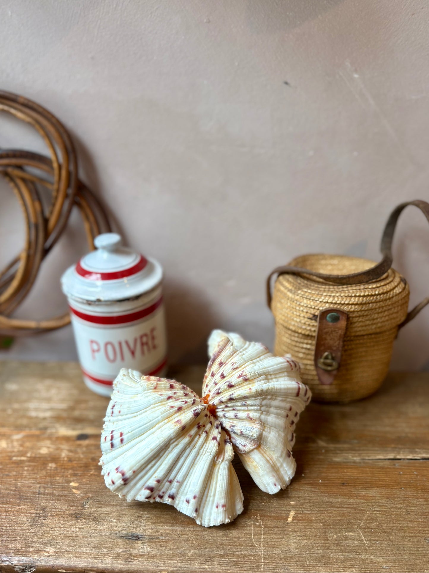 Bénitier Shell Salt & Pepper Server