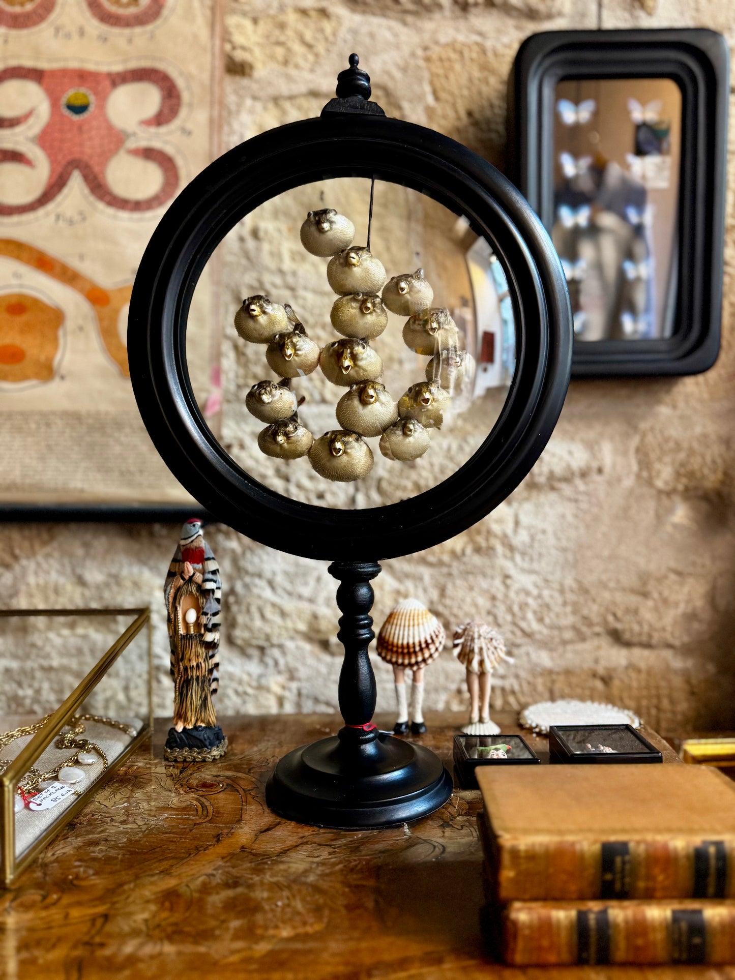 Preserved Pufferfish Specimen