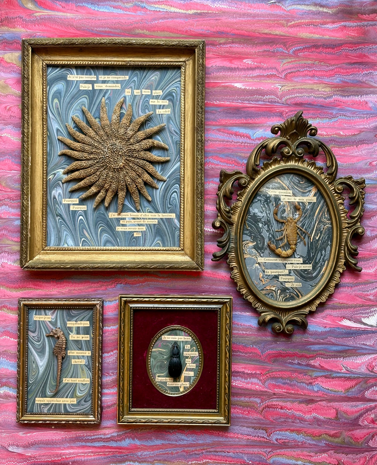 "Existentialist Bugs" Works by Artist Carole Mannette