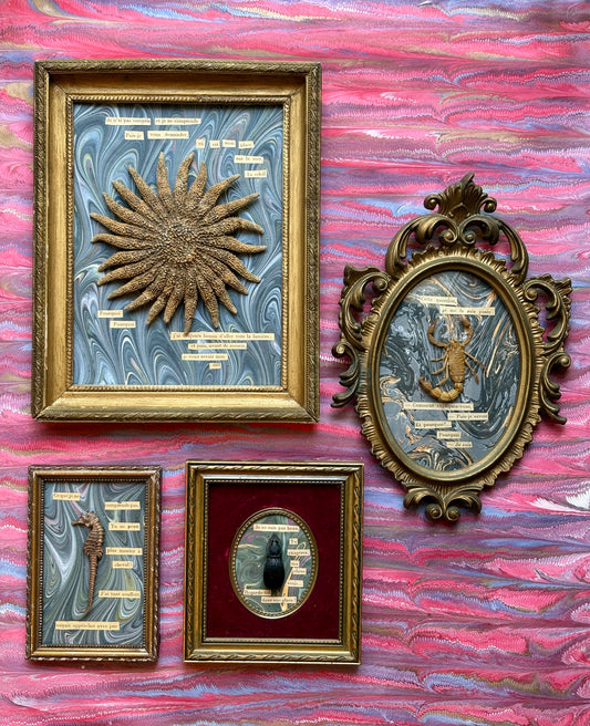 "Existentialist Bugs" Works by Artist Carole Mannette
