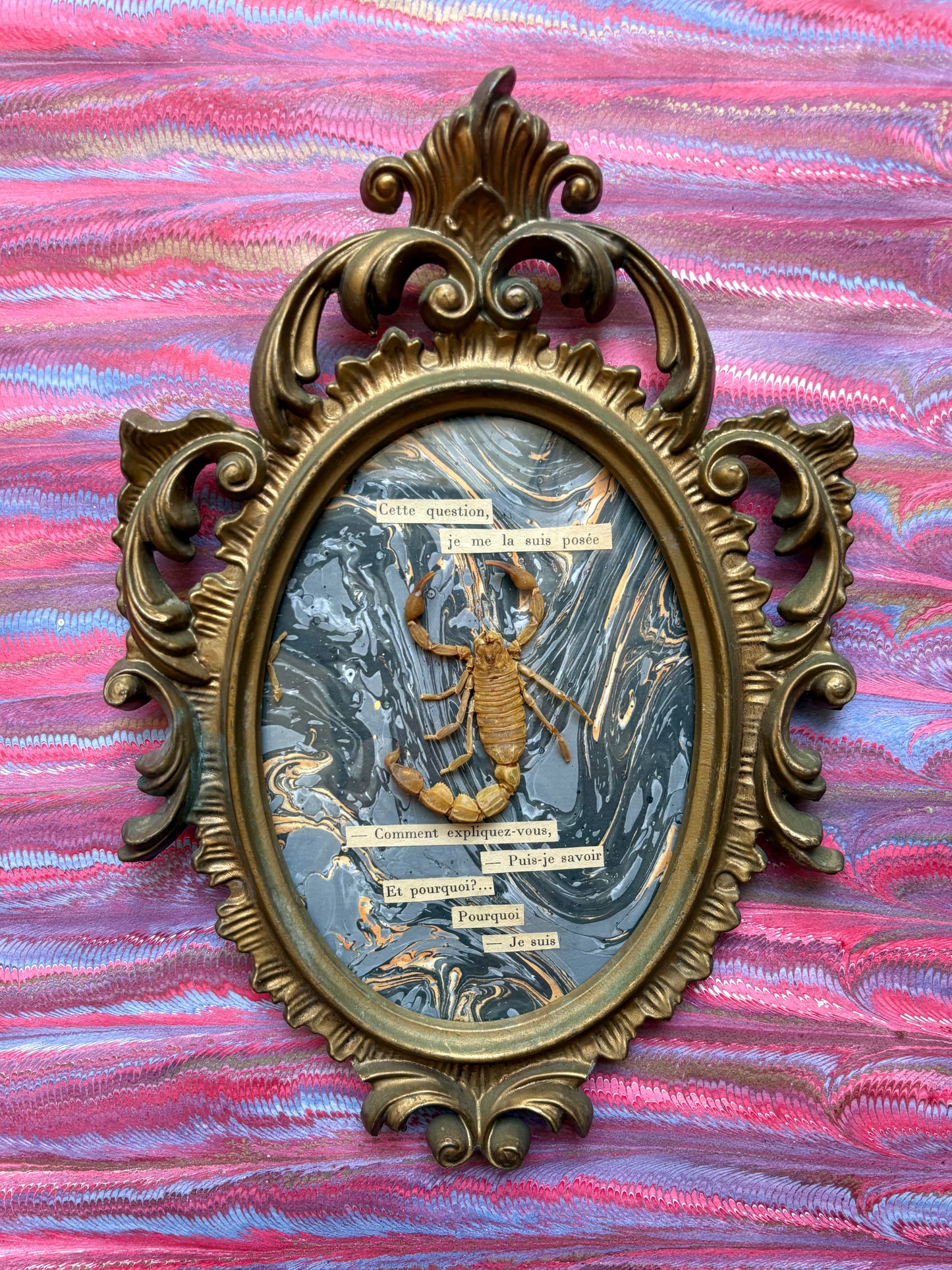 "Existentialist Bugs" Works by Artist Carole Mannette