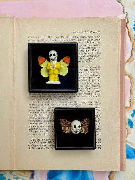 Mythical Magnet Taxidermy Boxes by Maïssa Toulet