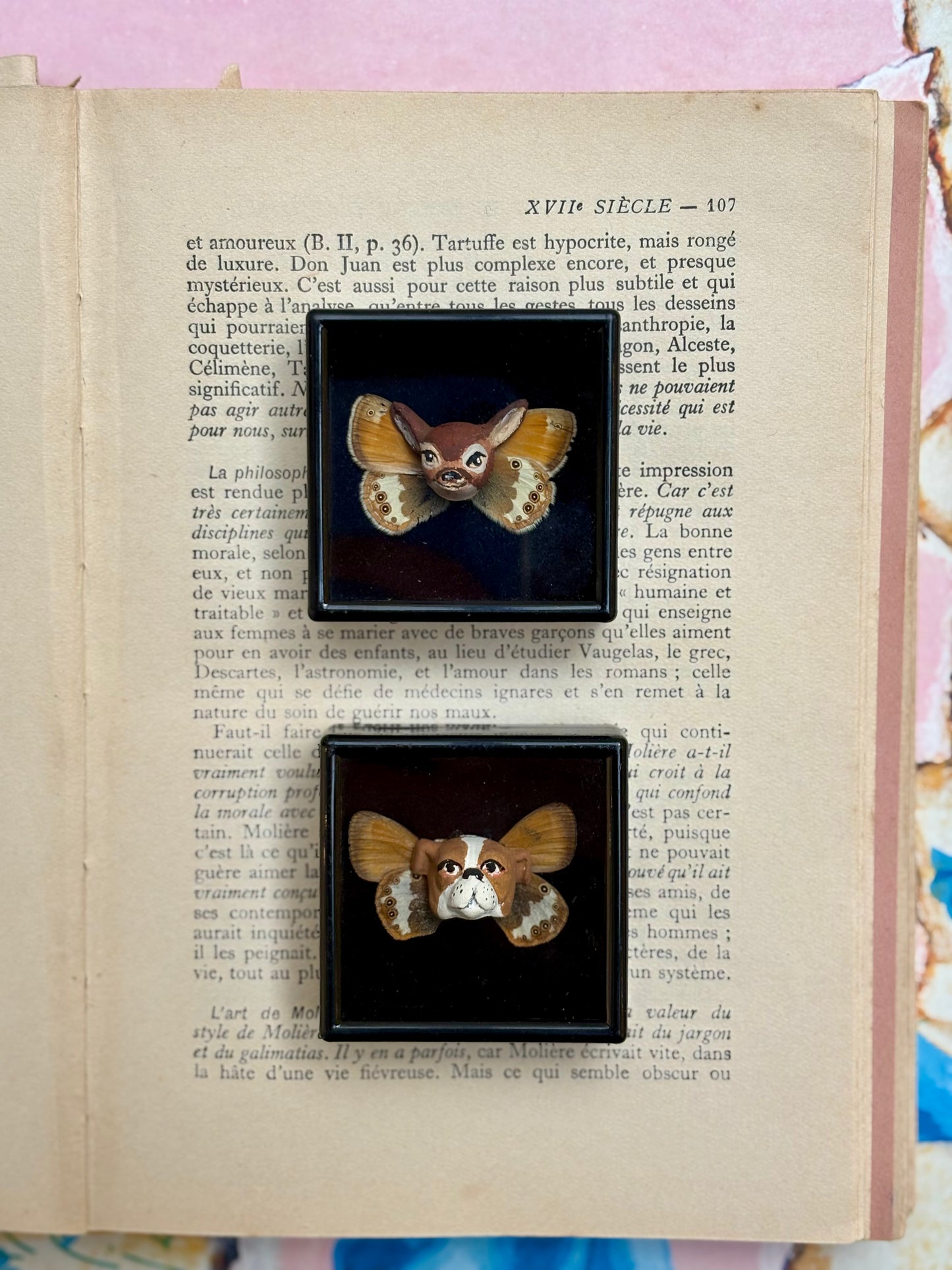 Mythical Magnet Taxidermy Boxes by Maïssa Toulet