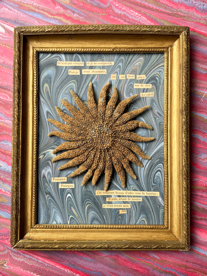 "Existentialist Sea Star" Work by Artist Carole Mannette