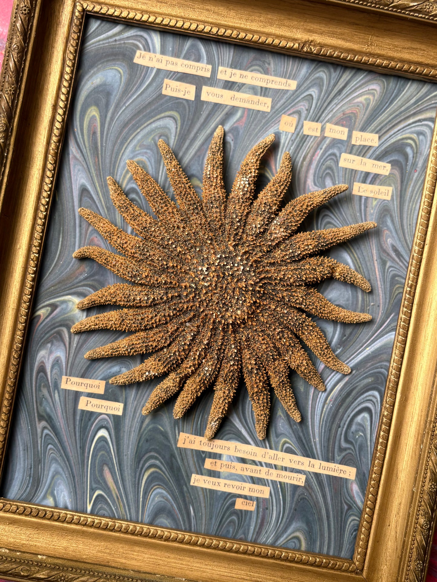 "Existentialist Sea Star" Work by Artist Carole Mannette