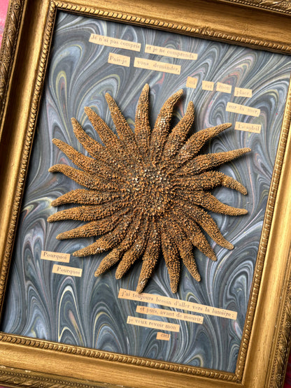 "Existentialist Sea Star" Work by Artist Carole Mannette
