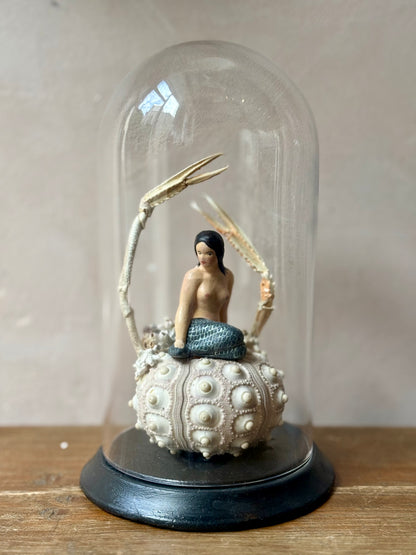 Works by Maïssa Toulet
