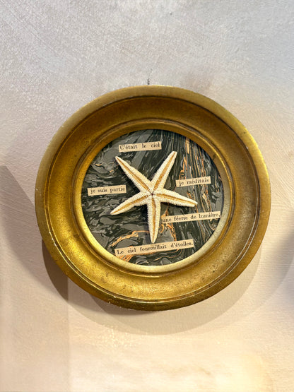 "Existentialist Sea Star" Work by Artist Carole Mannette