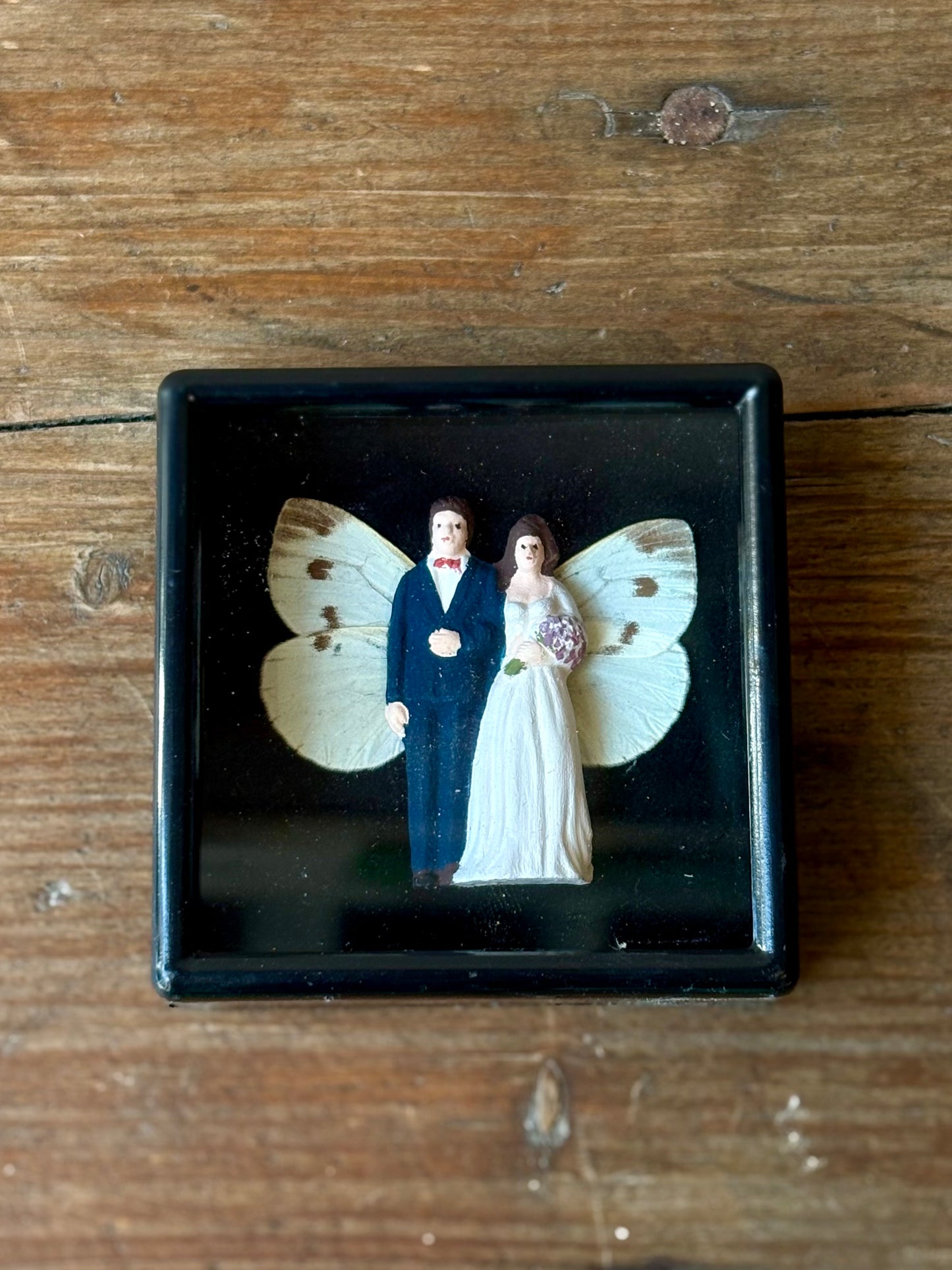 Mythical Magnet Taxidermy Boxes by Maïssa Toulet