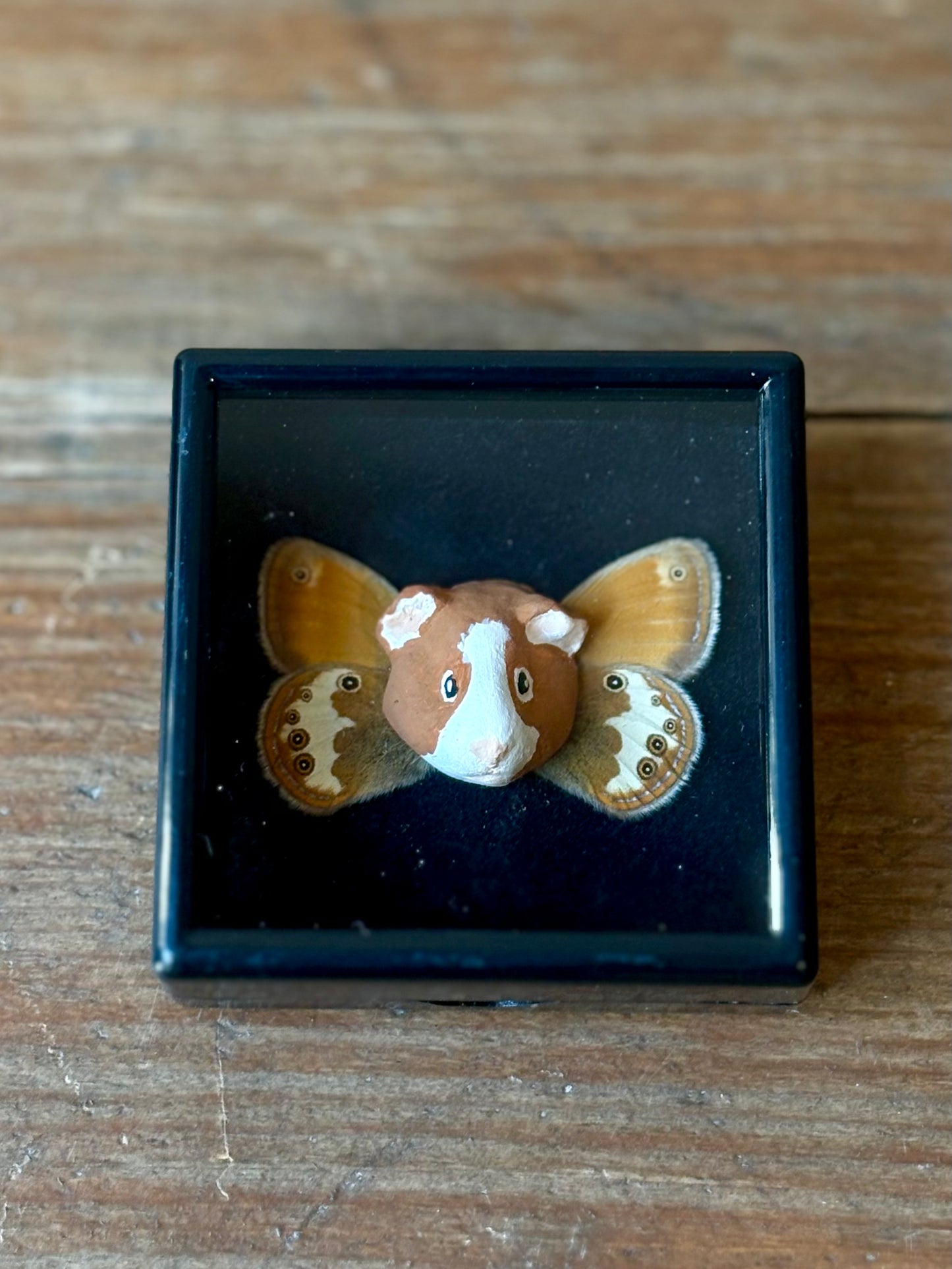 Mythical Magnet Taxidermy Boxes by Maïssa Toulet
