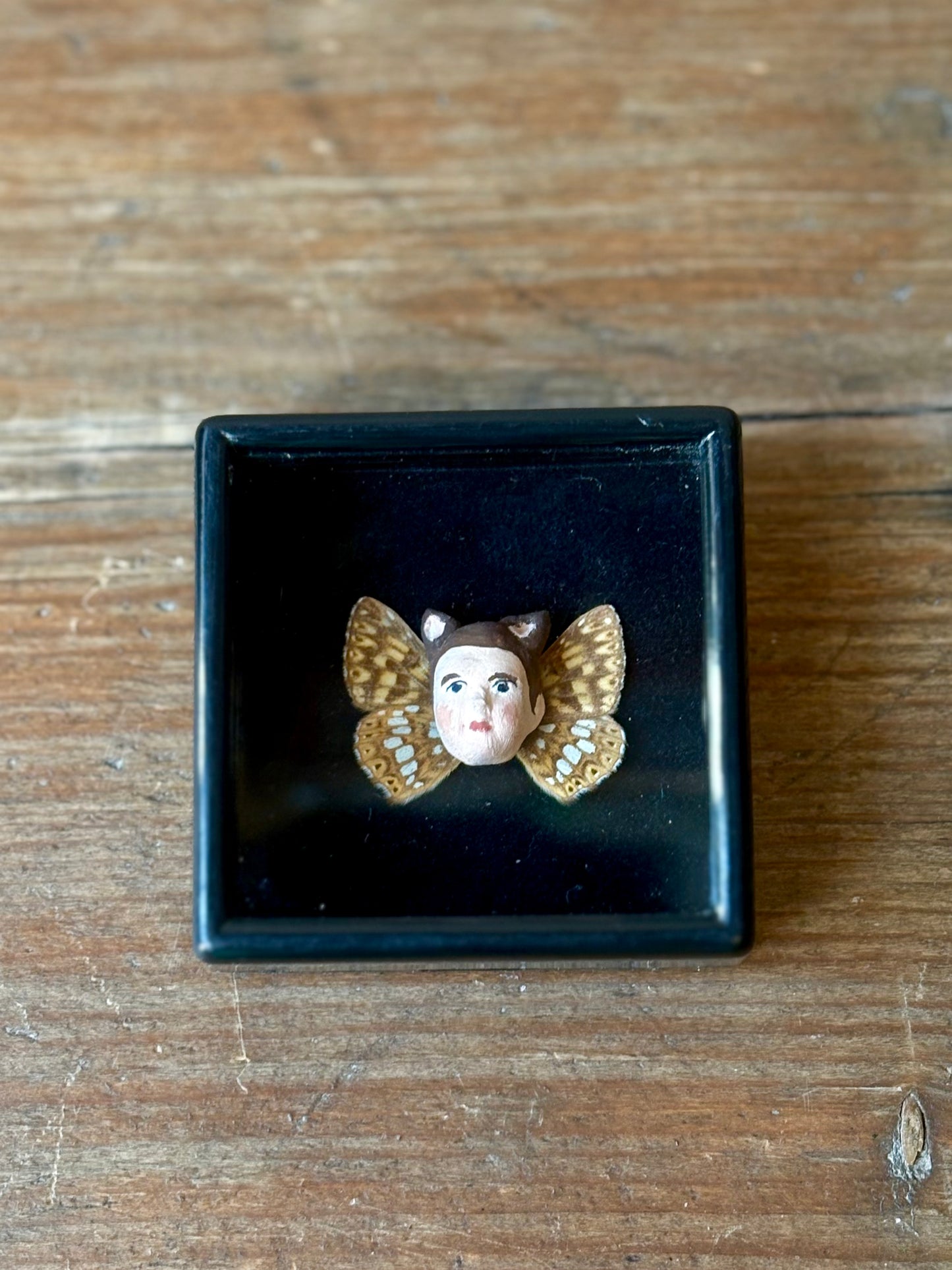 Mythical Magnet Taxidermy Boxes by Maïssa Toulet