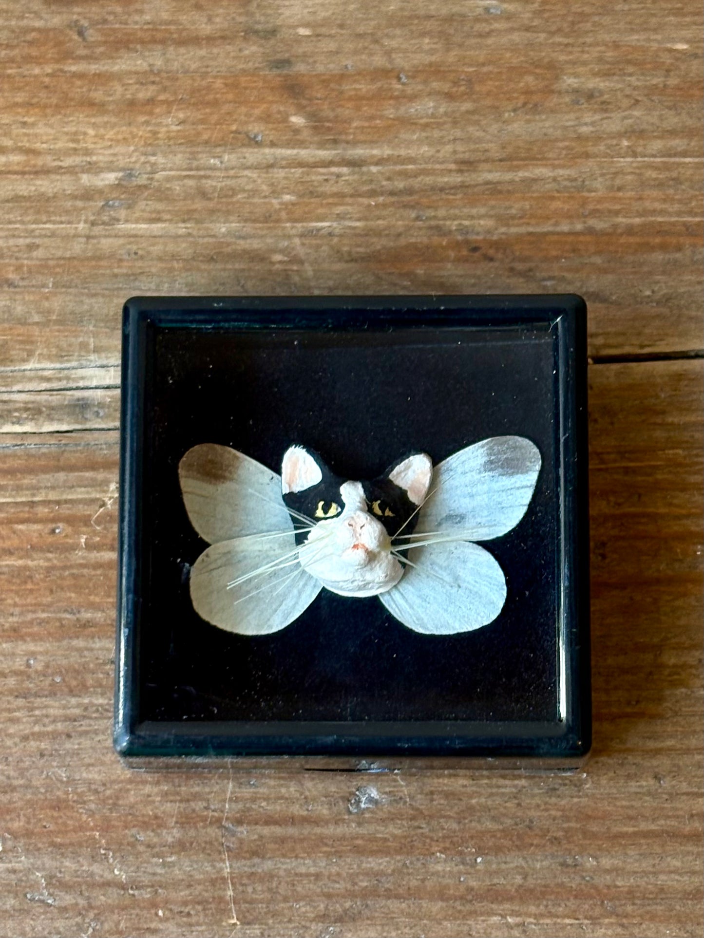 Mythical Magnet Taxidermy Boxes by Maïssa Toulet
