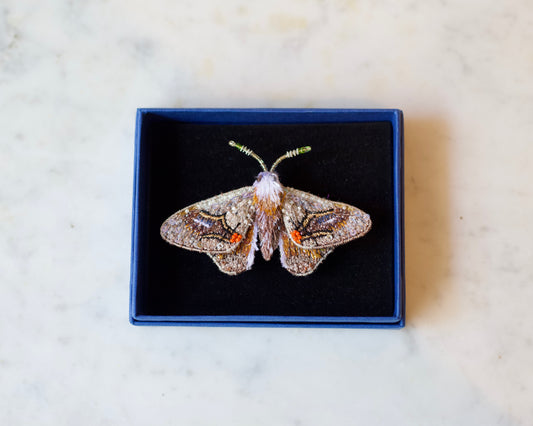 Drepanid Moth Brooch Pin