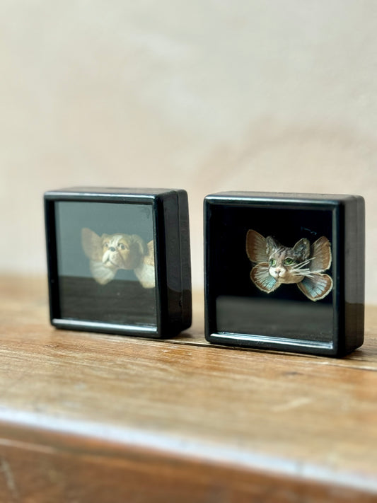 Mythical taxidermy boxes by Maïssa Toulet