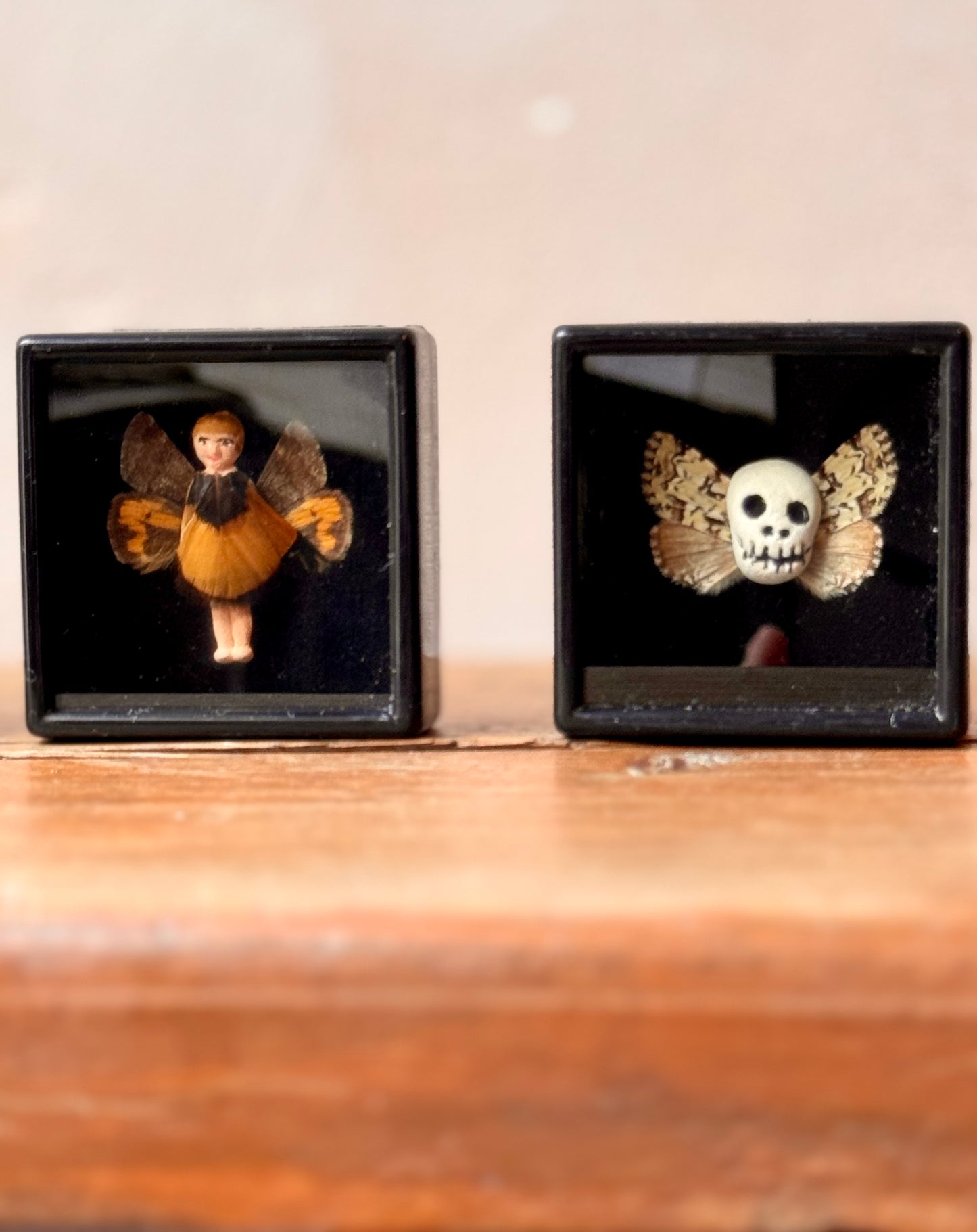 Mythical taxidermy boxes by Maïssa Toulet