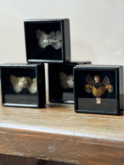 Mythical taxidermy boxes by Maïssa Toulet