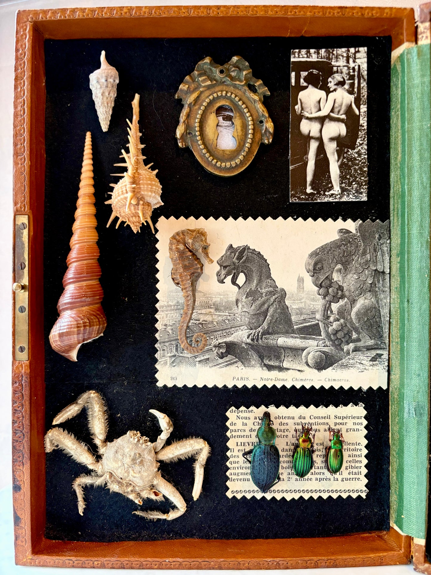 Vintage Curiosity Cabinet Box