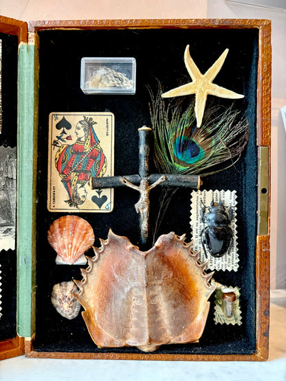 Vintage Curiosity Cabinet Box