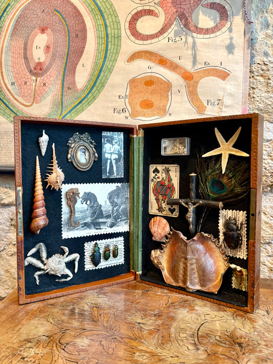 Vintage Curiosity Cabinet Box