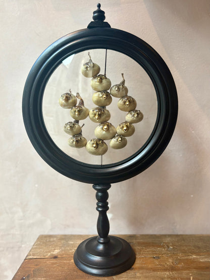 Preserved Pufferfish Specimen