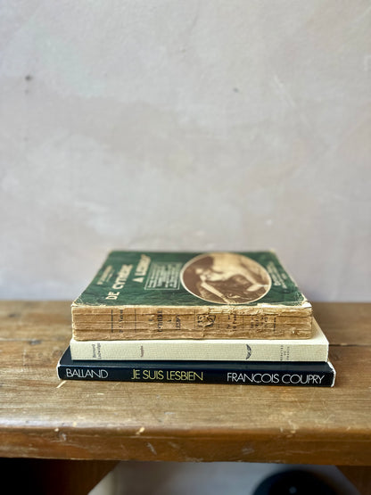 Vintage French Erotica Books (Lot I)