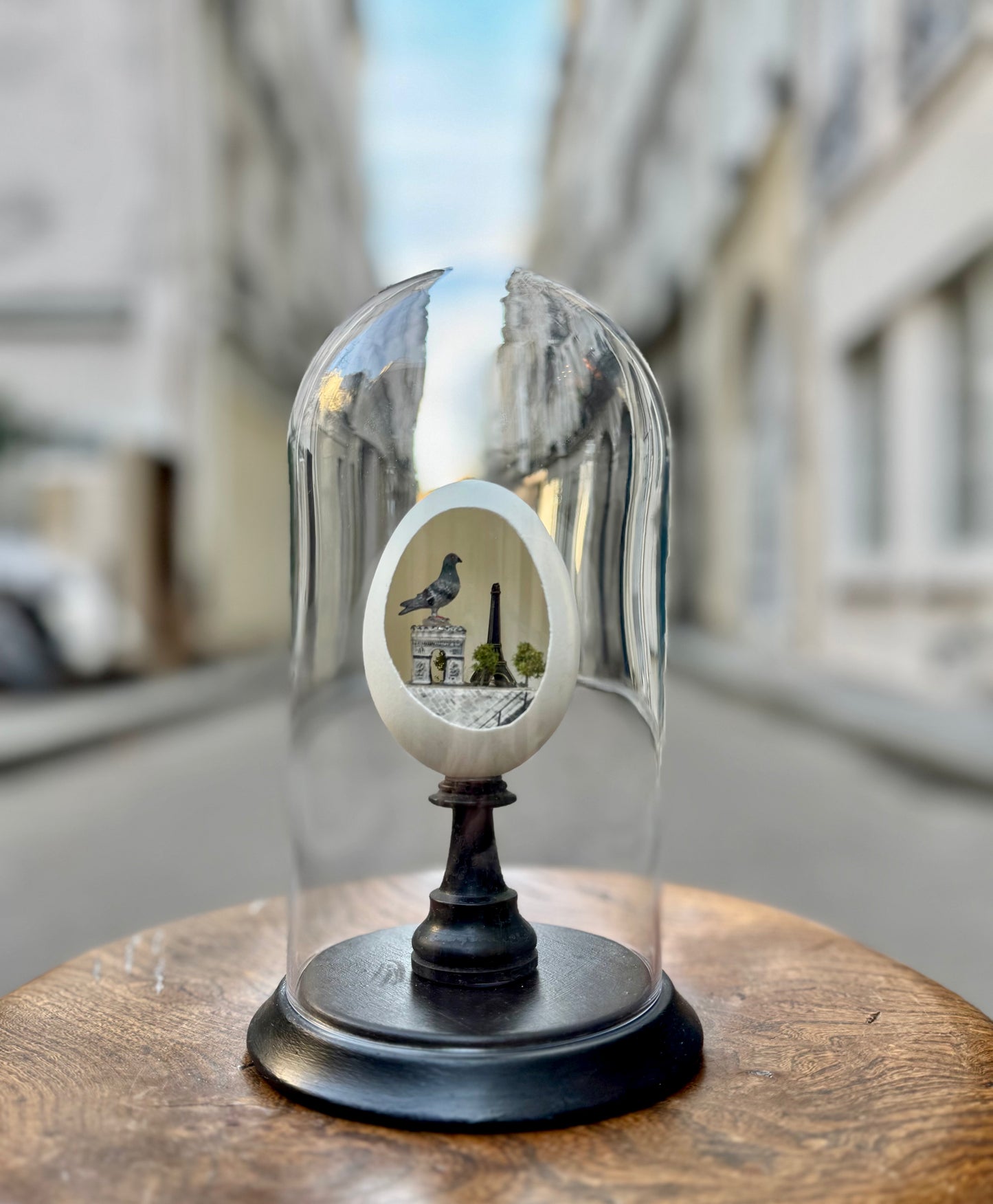 Works by Maïssa Toulet: Pigeon Egg