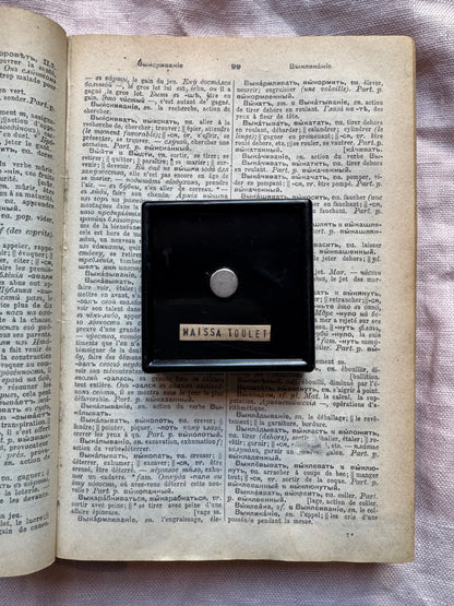 Mythical Magnet Taxidermy Boxes by Maïssa Toulet