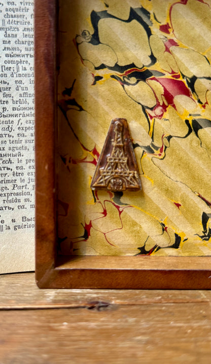 Seahorse Curiosity Box