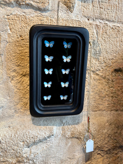 Observation Entomology frame with Magnifying Glass