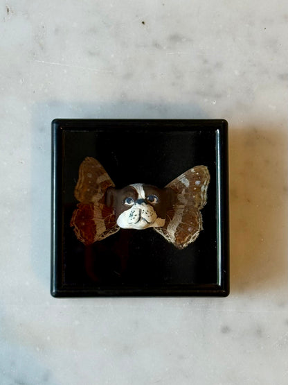 Mythical Magnet Taxidermy Boxes by Maïssa Toulet