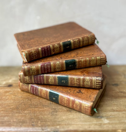 Rare Antique French Travel Guide by a Female Author (1824)
