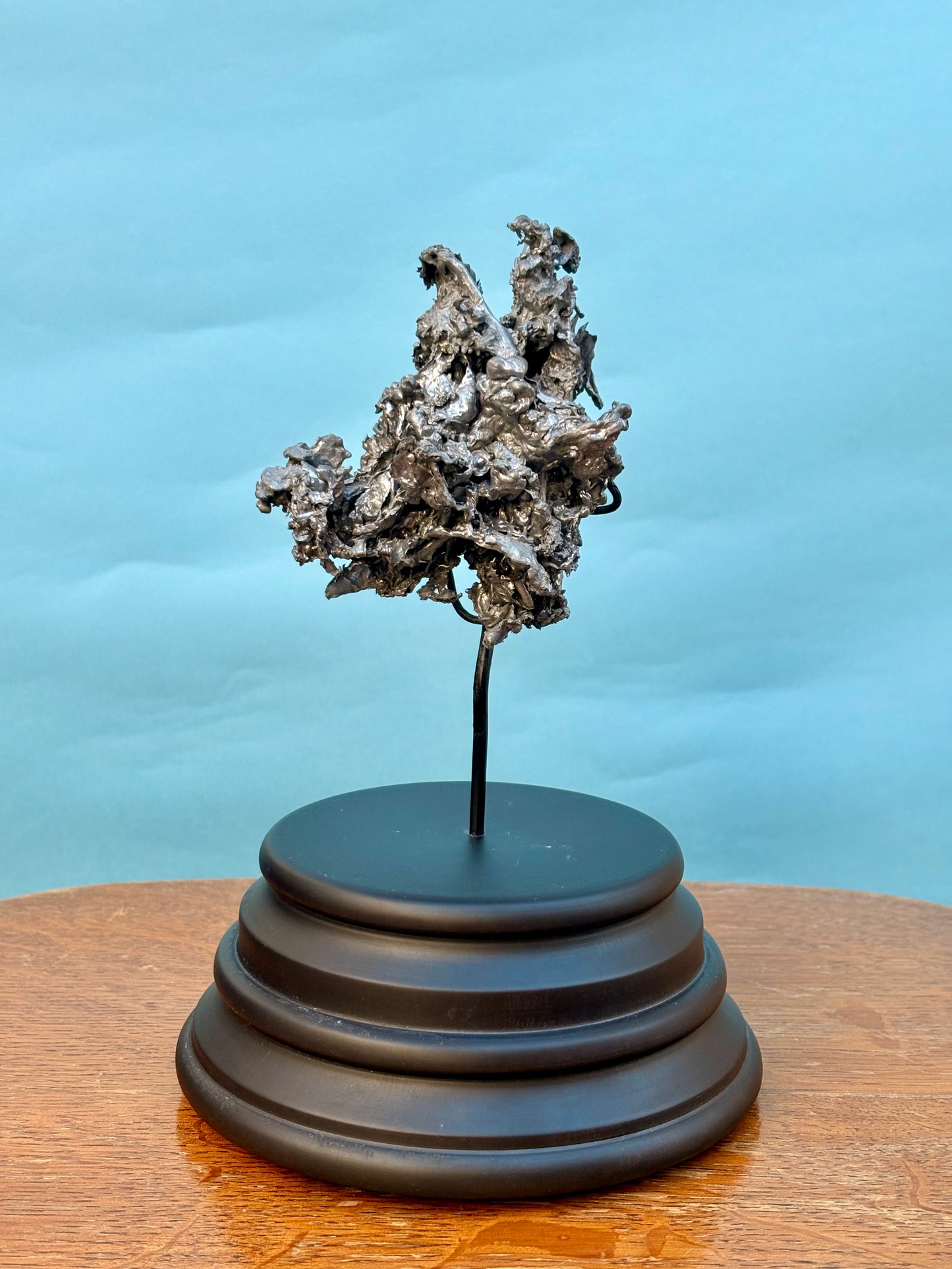 A piece of Paris Rooftops