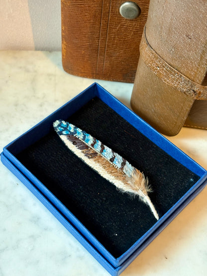 Feather Brooch Pin