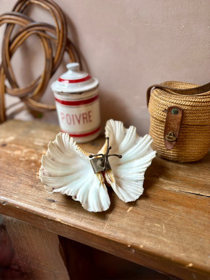 Bénitier Shell Salt & Pepper Server