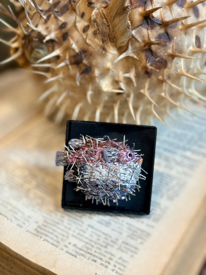 Puffer Fish Brooch