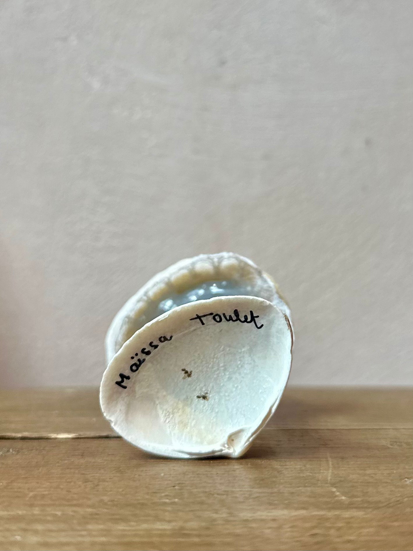 Surreal Shell Person by Maïssa Toulet