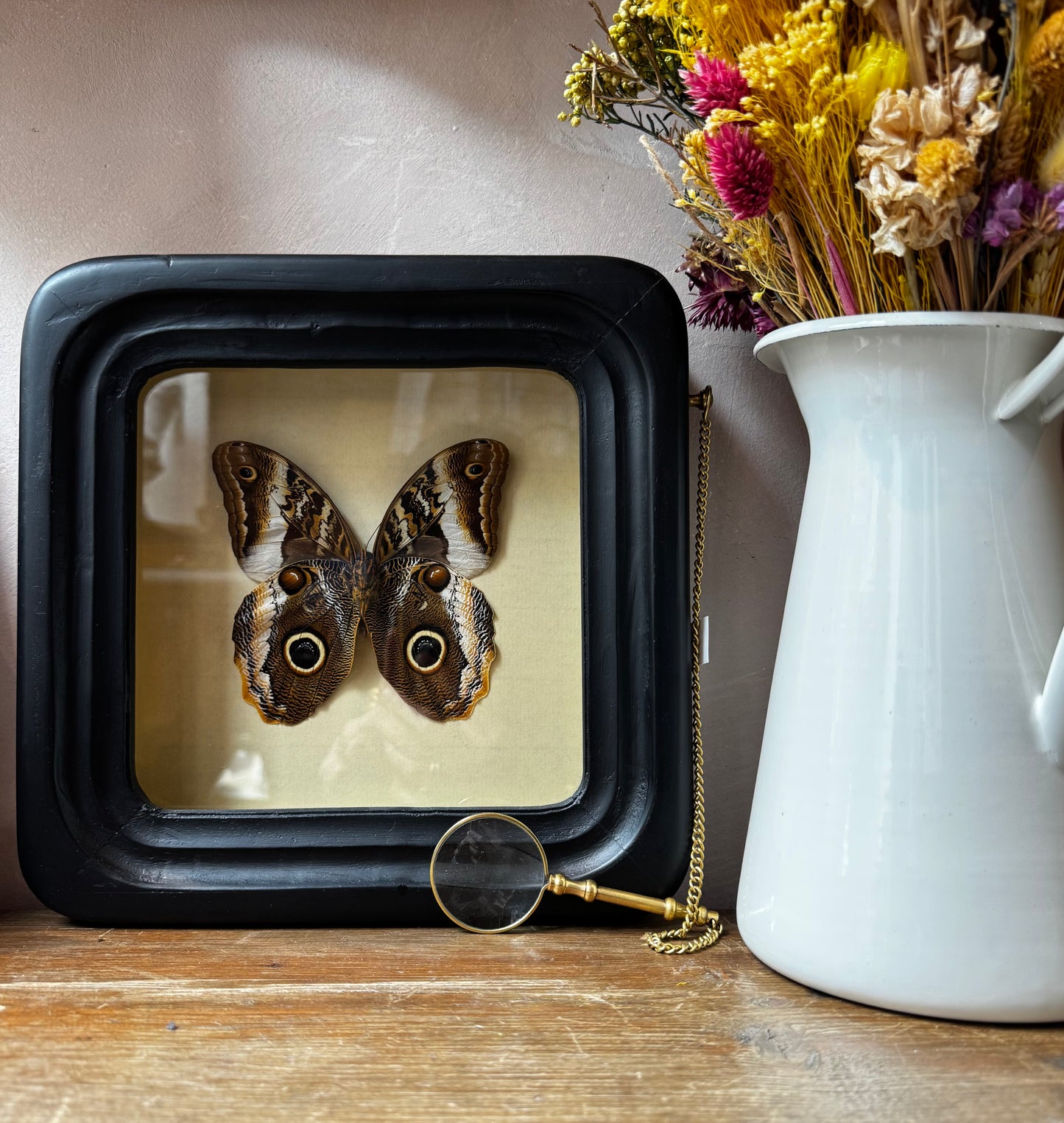 Observation Entomology frame with Magnifying Glass