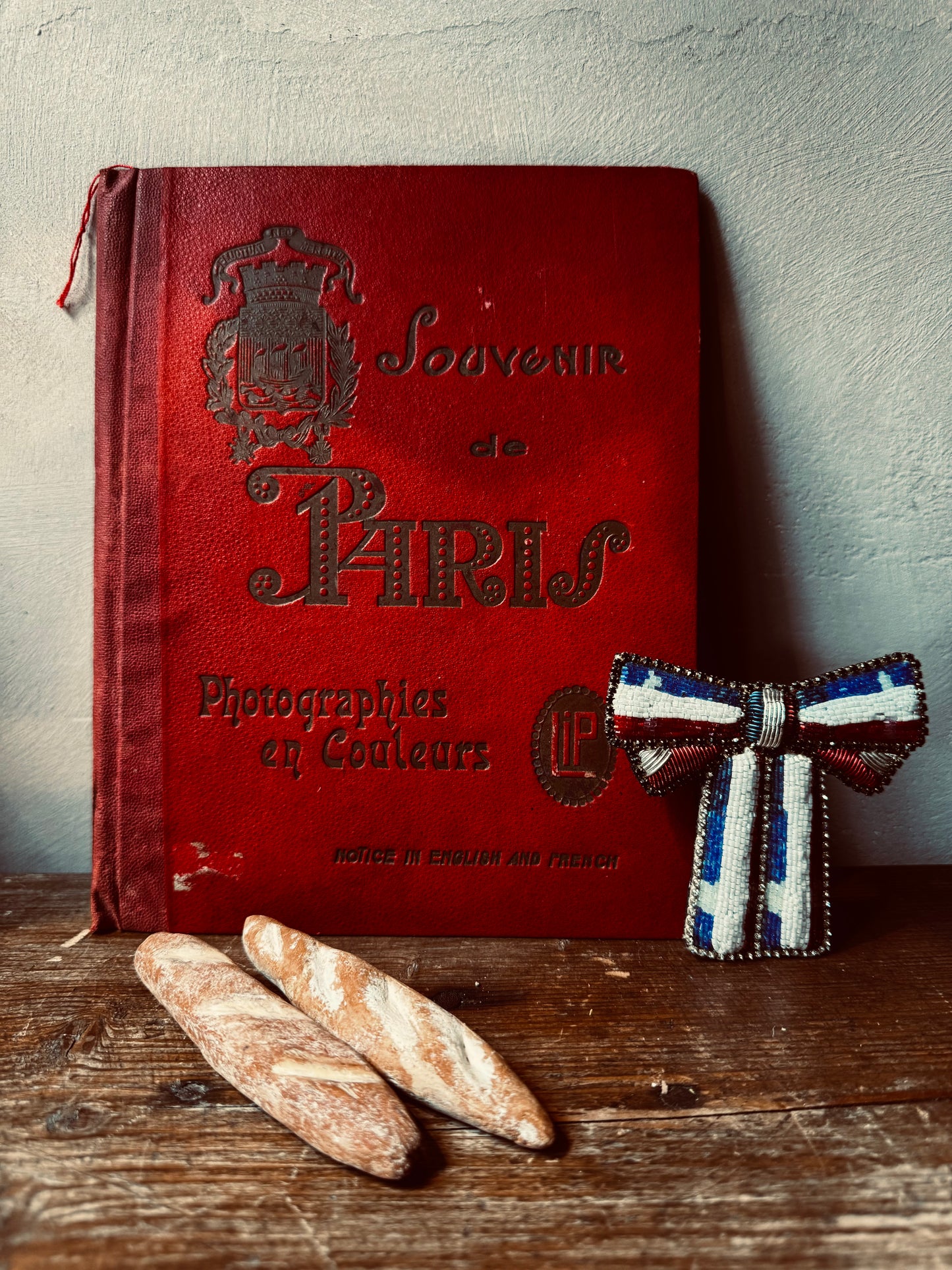 Early 20th Century Souvenir de Paris Photography Book