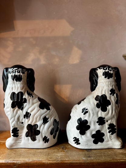 Pair of Staffordshire-Style Porcelain Spaniel Dogs