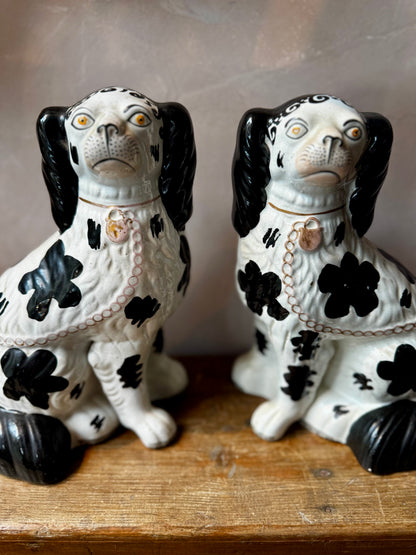 Pair of Staffordshire-Style Porcelain Spaniel Dogs