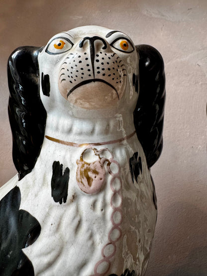 Pair of Staffordshire-Style Porcelain Spaniel Dogs
